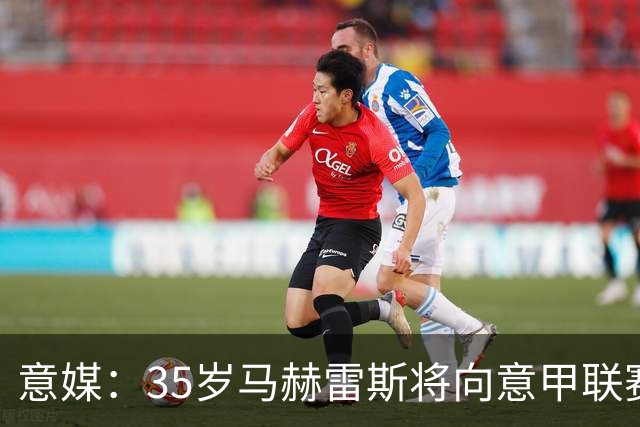意媒：35岁马赫雷斯将向意甲联赛自荐，但意甲多队均人满为患