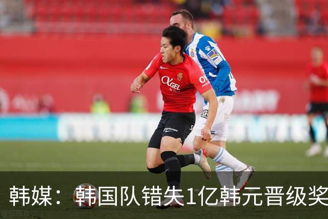 韩媒：韩国队错失1亿韩元晋级奖 但每人仍可拿8000万津贴
